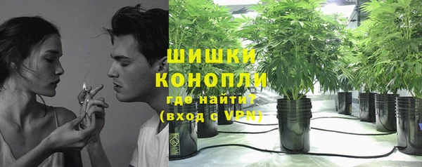 PSILOCYBIN Мегион