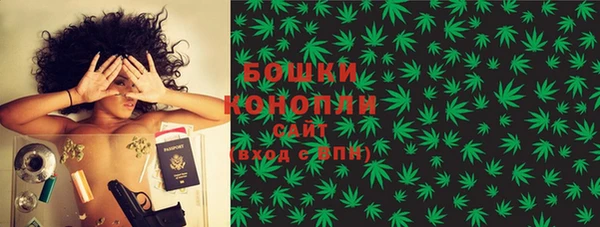 PSILOCYBIN Мегион
